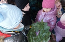 3. Ogl¦udanie stroika ze +Twierku.