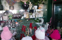 2. Przedszkolaki patrz¦u na wieniec +Twi¦uteczny z czerwonymi kokardami.