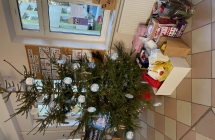 Dary zbierane pod choink¦u.