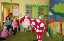 DSCN4118