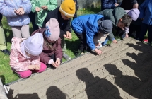 Wiewioreczki wysiewaja nasiona roslin miododajnych w ogrodku przedszkolnym.