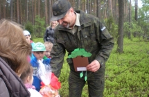 Obraz 088