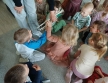 gr. kotki dzieci dotykaj¦u tr¦ubk¦Ö