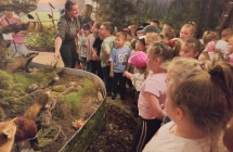 Dzieci obserwuja zwierzeta w izbie edukacyjnej.