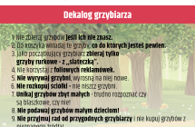 dekalog grzybiarza