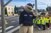 Przedszkolaki z sierzantem Pyrkiem na skrzyzowaniu, przypominaja sobie zasady z korzystania z sygnalizacji swietlnej.
