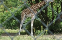 DSCF1282