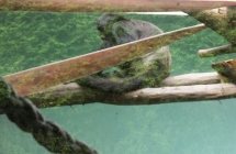 DSCF1287