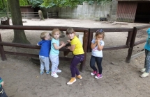 DSCF1319
