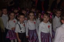 DSCF3103