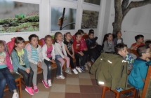 SAM_5768