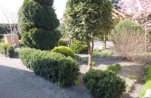 DSCF5506