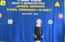 bezpieczenstwo 223