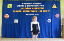 bezpieczenstwo 221