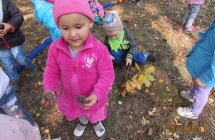 zdjecia  grupa I 021