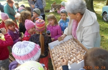 DSCN1905