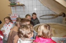 DSCN2071