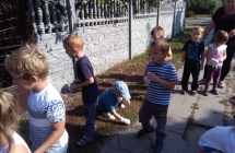IMG_20160916_102655