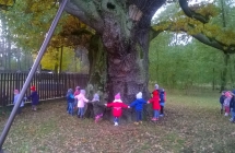 WP_20161027_10_50_54_Pro