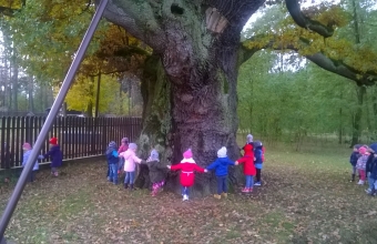 WP_20161027_10_50_54_Pro