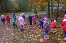 WP_20161027_10_21_08_Pro