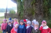 WP_20161027_10_53_14_Pro