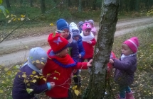 WP_20161027_10_14_08_Pro