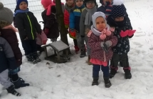 WP_20170119_10_51_21_Pro