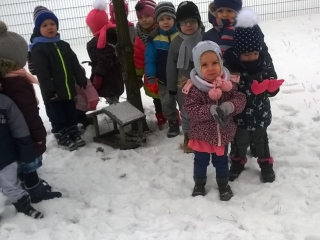 WP_20170119_10_51_21_Pro