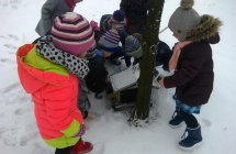 WP_20170119_10_49_50_Pro