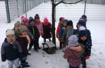 WP_20170119_10_51_11_Pro