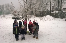 WP_20170119_10_48_09_Pro