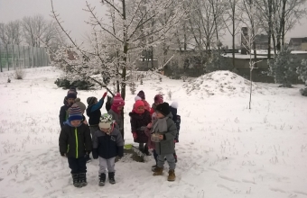 WP_20170119_10_48_09_Pro