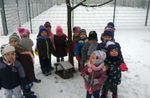 WP_20170119_10_51_18_Pro