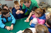 gr 7 weterynarz i bal luty 034