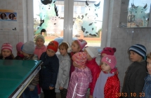 DSCN2239