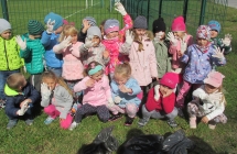 Projekt Drzewo - las 360