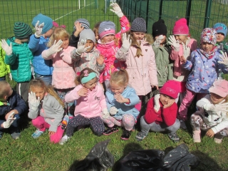 Projekt Drzewo - las 360