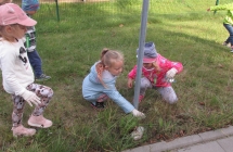 Projekt Drzewo - las 353