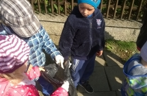 WP_20170918_11_23_45_Pro