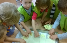 WP_20171004_08_50_01_Pro