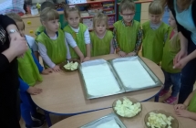 WP_20171004_08_48_31_Pro