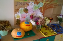 WP_20171019_13_04_59_Pro