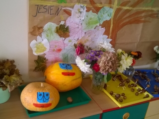 WP_20171019_13_04_59_Pro