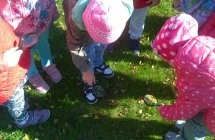 WP_20171002_11_44_59_Pro