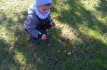 WP_20171002_11_51_17_Pro