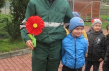 zwierzeta domowe 033