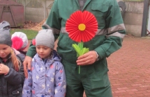 zwierzeta domowe 034