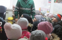 zwierzeta domowe 027