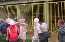 zwierzeta domowe 006